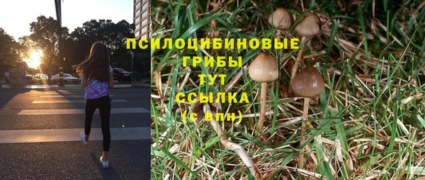 мдпв Арсеньев