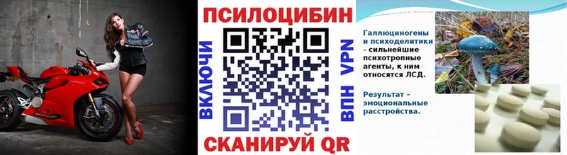 OMG зеркало  darknet клад  Галлюциногенные грибы Psilocybine cubensis  Зеленокумск 